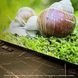 Телевізор 50" Smart TV Android 15 10 фото 2